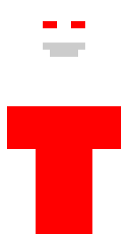 Flaga Polski skin
