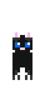 Czarny kot niebieskooki, zwany także po angielsku black blue eyed cat, jest dobrym przykładem świetnego, interesującego skina, który to może stać się idealnym skinem dla wszystkich pragnących poczuć w sobie kocią moc