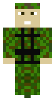 Żółnierz Soldier - Armed Forces Soldier - żólnierz, jako świetny ciekawy skin do Minecrafta