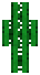 Cactus Man - Cactus Man