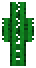 Poka przd skina do Minecrafta Kaktus  od przodu